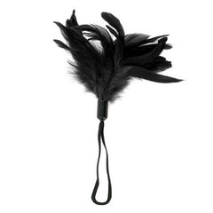 Pleasure Feather Svart Sportsheets SS261-01