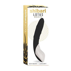 Pleasure Kegel Balls (2 Pack) Shibari 3332