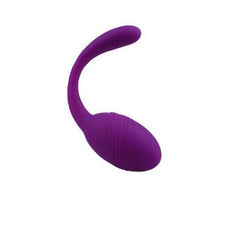 Klitoris- & G-punktsvibrator Smart Dream Adrien Lastic E24868
