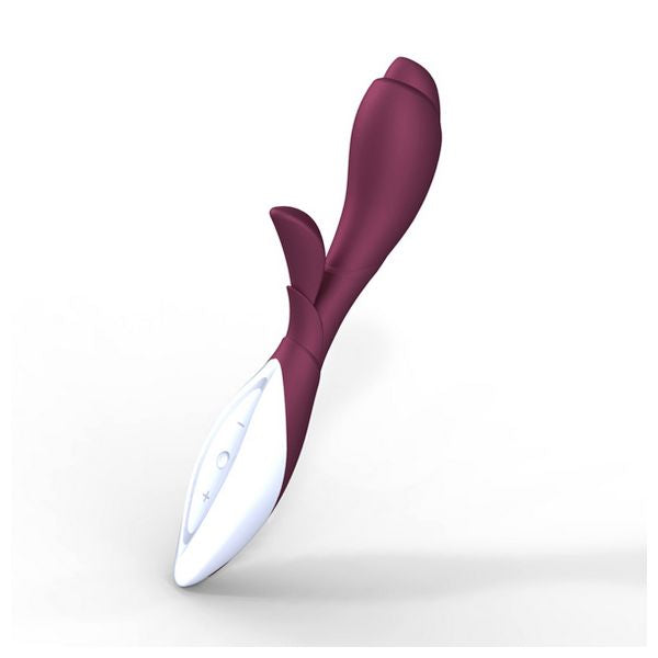 Zook Dark Wine/White ZINI 50637