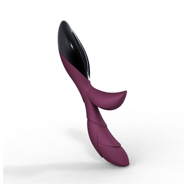 Hua Dark Wine/Black ZINI 50729